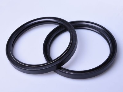 Series of Oil Seal